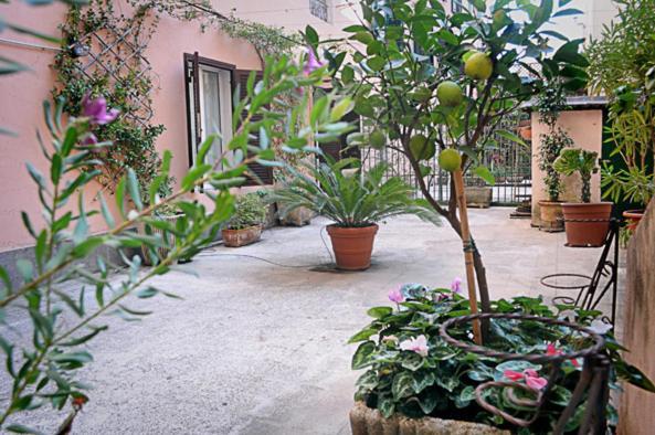 Apartment Minerva House Rome